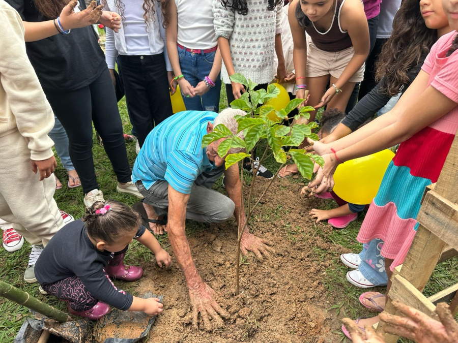 Fiéis de Jacareí plantam árvore em homenagem ao papa Francisco após seu falecimento 